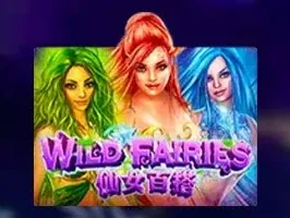 Wild Fairies game thumbnail