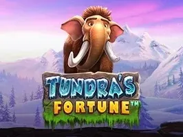 ทุนดรา ฟอร์จูน game thumbnail